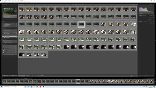 Lightroom